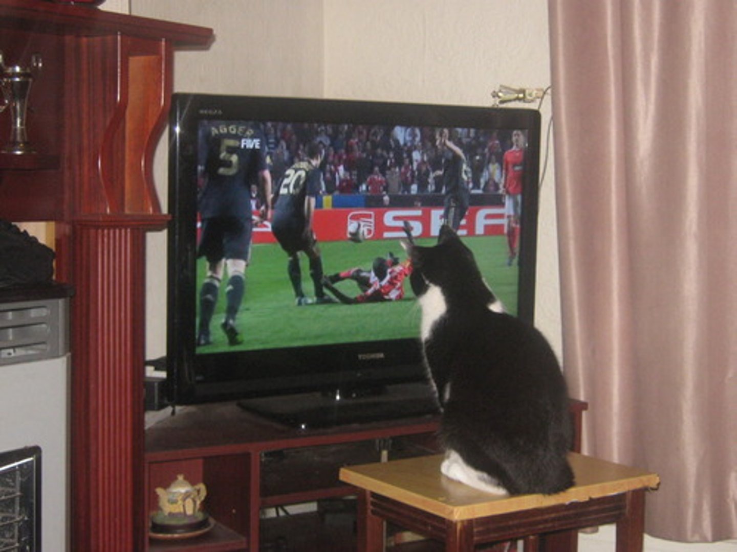 <p>to watch a ___ game</p>