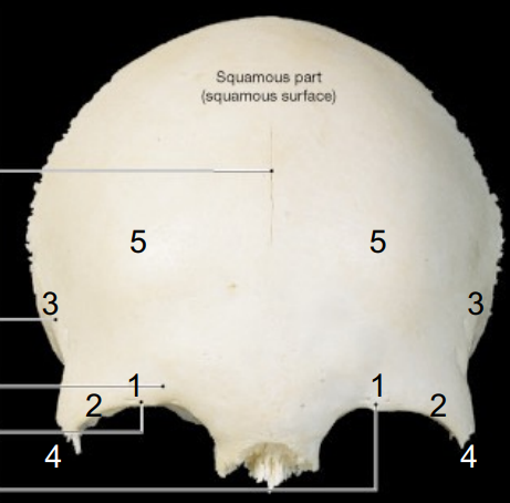<p>What is 1</p>