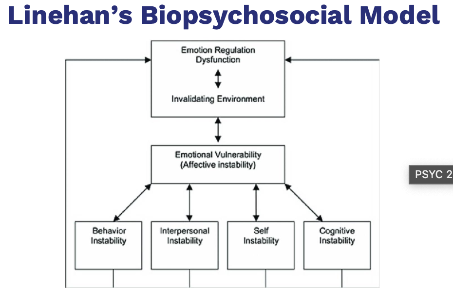 <ul><li><p><span style="background-color: transparent;"><span>Generalized biological vulnerability&nbsp;</span></span></p></li><li><p><span style="background-color: transparent;"><span>Generalized psychological vulnerability&nbsp;</span></span></p></li><li><p><span style="background-color: transparent;"><span>Specific psychological vulnerability Linehan’s Biopsychosocial Model of Risk&nbsp;</span></span></p></li></ul><p></p>