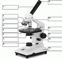 <p>what is number 2</p>
