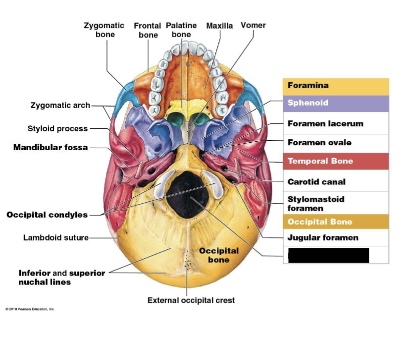 term image