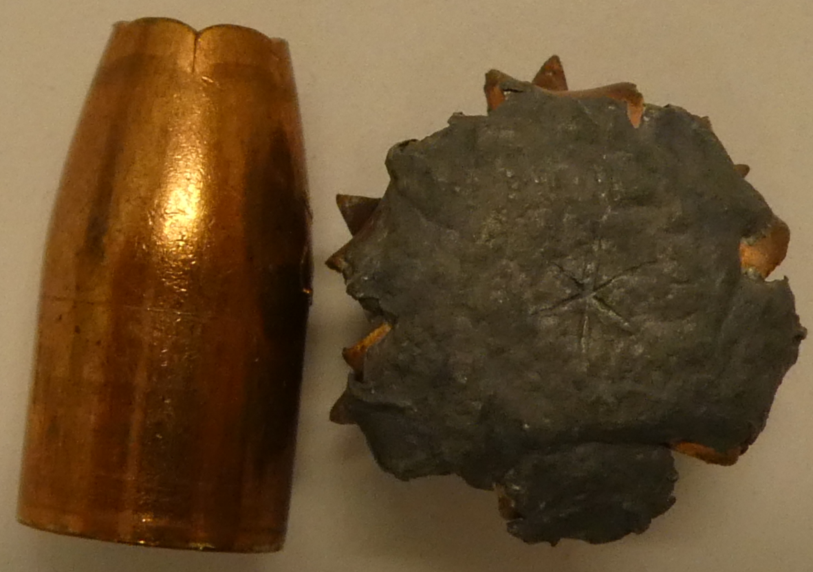 <p>The bullet of which cartridge is shown in this photo?</p>