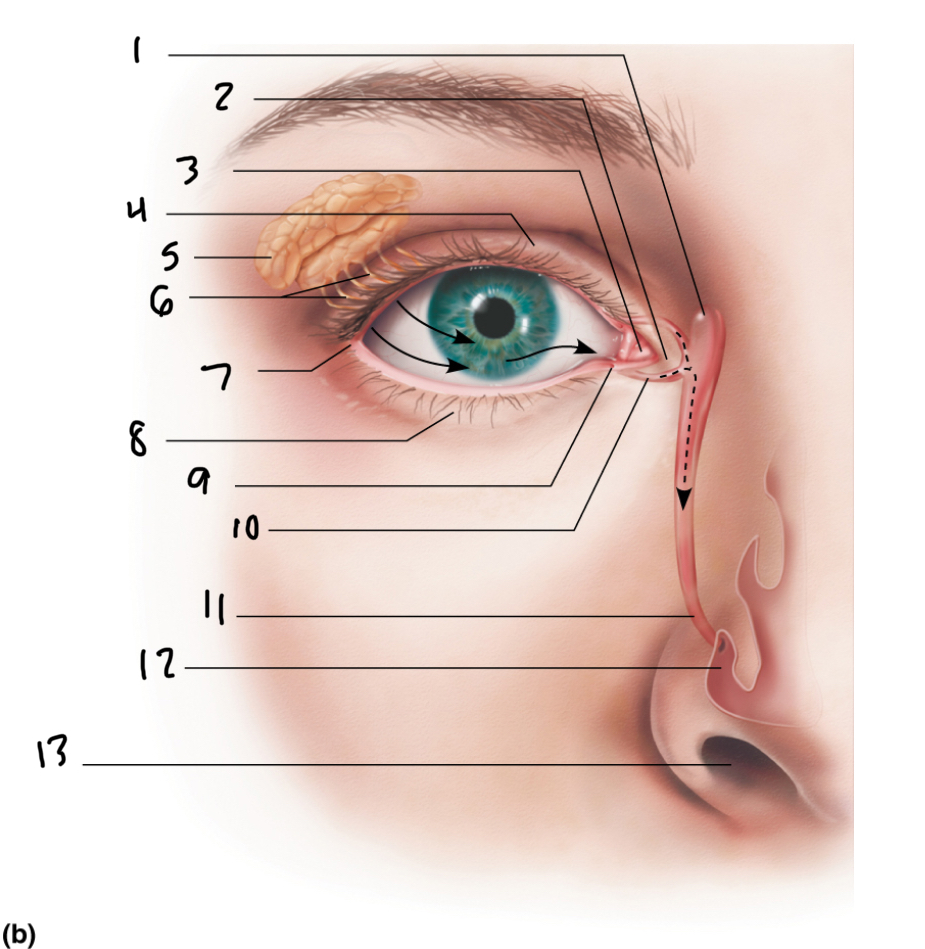 <p>2</p>