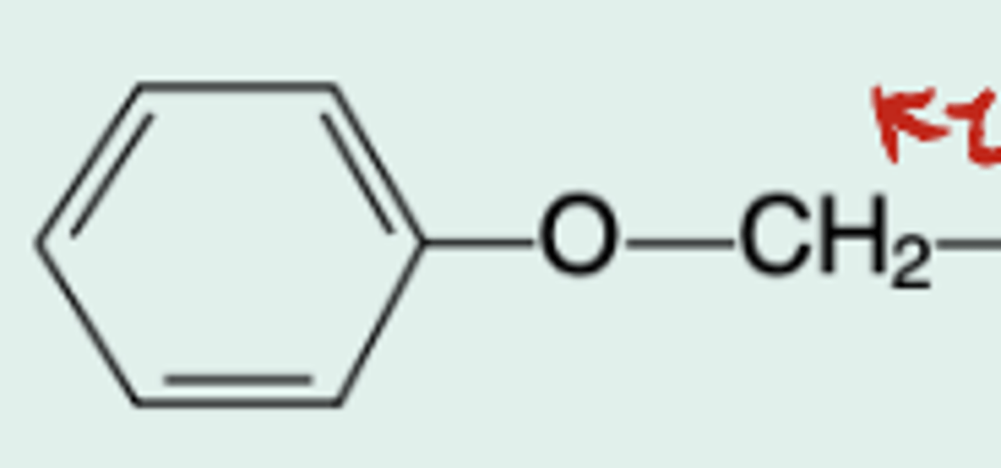 <p>Gen name?</p>