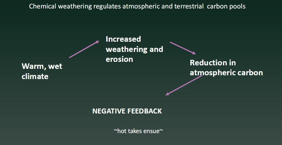 <p><strong>As it gets warmer, more weathering occurs of calcium silicate minerals, ultimately resulting in the biomineralization and storage of CO2, cooling global climate</strong></p><ul><li><p><em>Need to understand degree of weathering and erosion under warm/wet climates</em></p></li></ul><p></p>