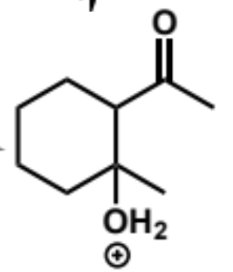 <p>next stage of intramolecular aldol (acid conditions)</p>
