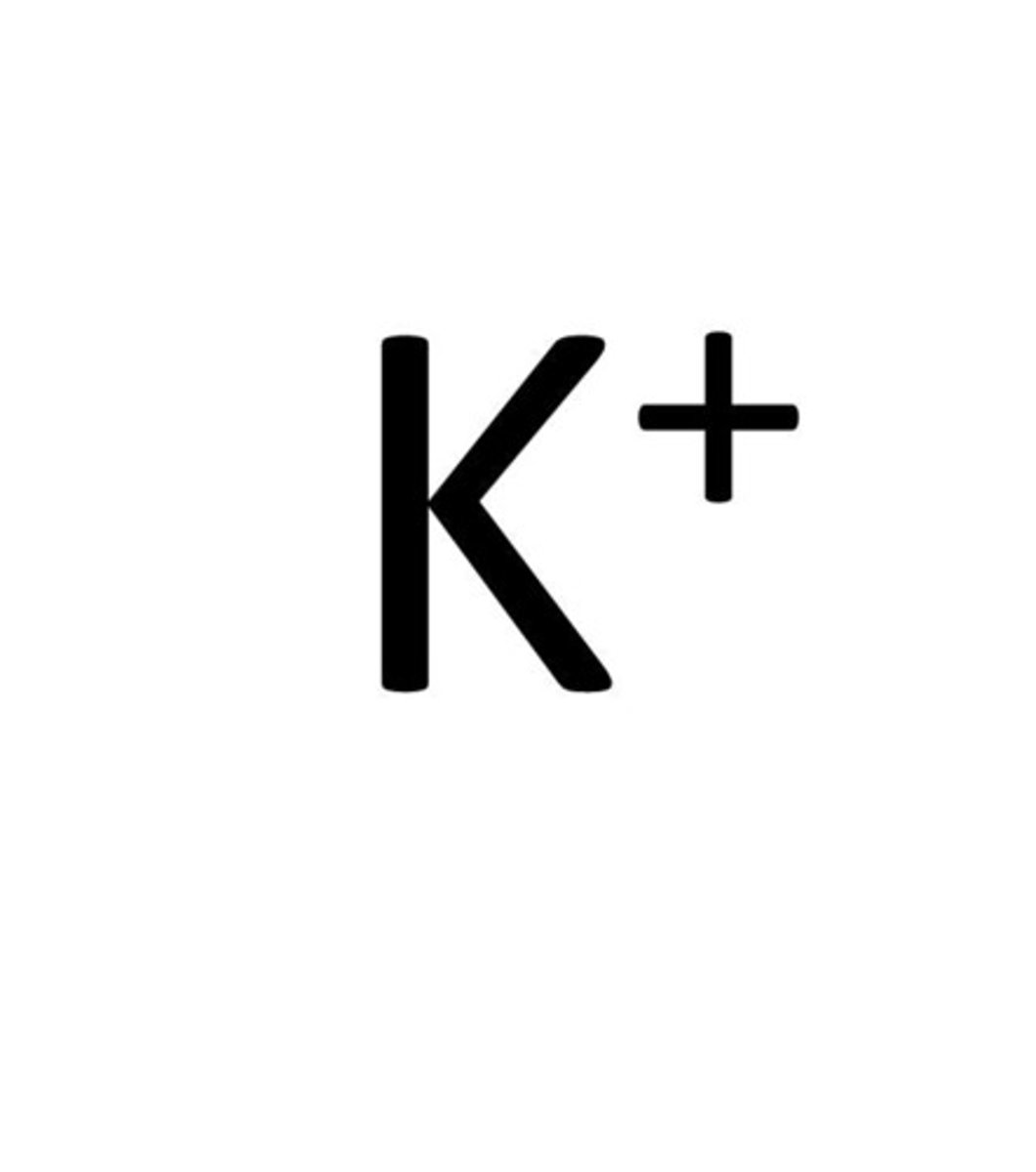 <p>K+</p>