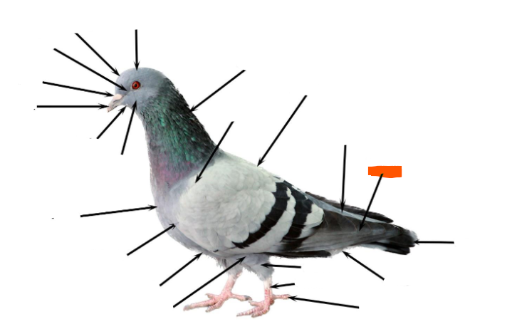 <p></p>