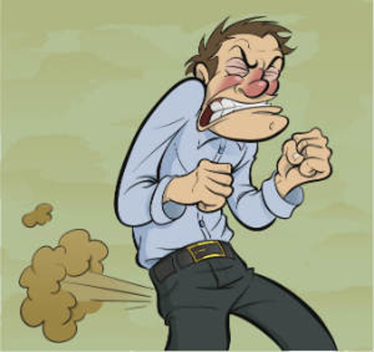 <p>gas expelled through the anus</p><p>a "toot"</p>