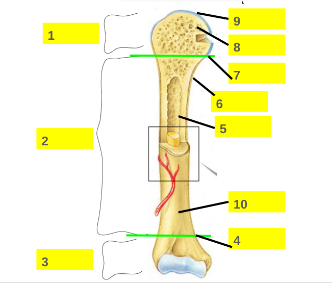 <p>1</p>