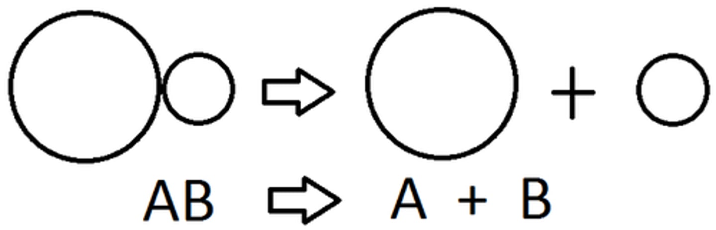 <p>A chemical reaction that breaks down compounds into simpler products. AB->A+B</p>