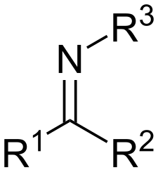 <p>1 N (with a lone pair) doubly bonded to a secondary C and singly bonded to an R</p>