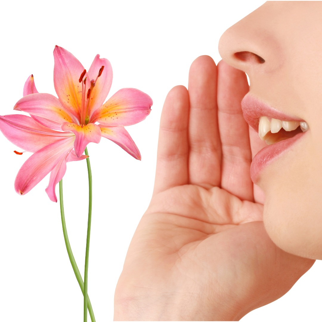 <p><strong>はなす 話す</strong></p><p><span style="color: rgb(169, 169, 169);"><span>Kanji:</span></span></p><p><span style="color: rgb(169, 169, 169);"><span>話 Speech</span></span></p>