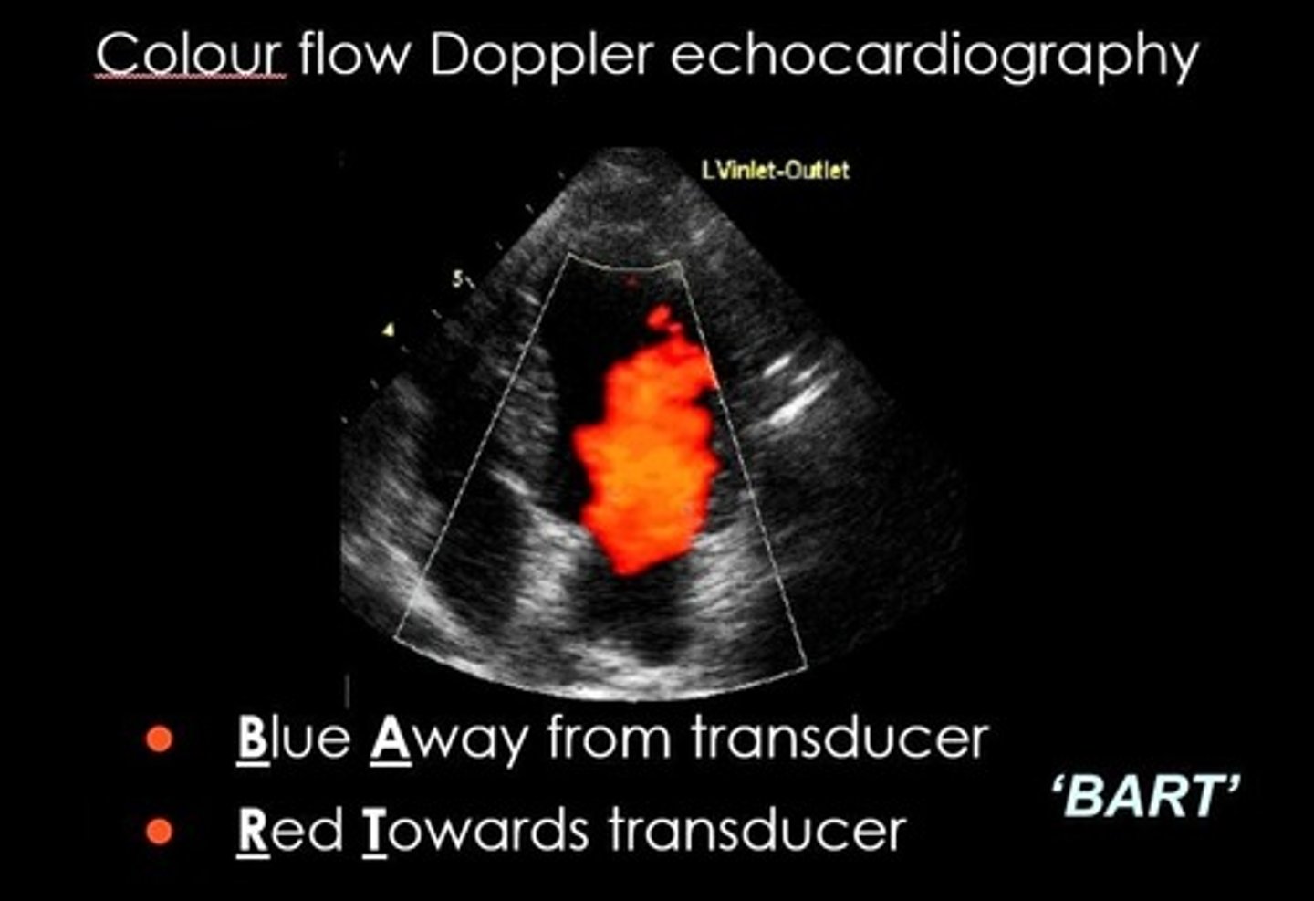 <p>BLUE AWAY RED TOWARDS (transducer)</p>