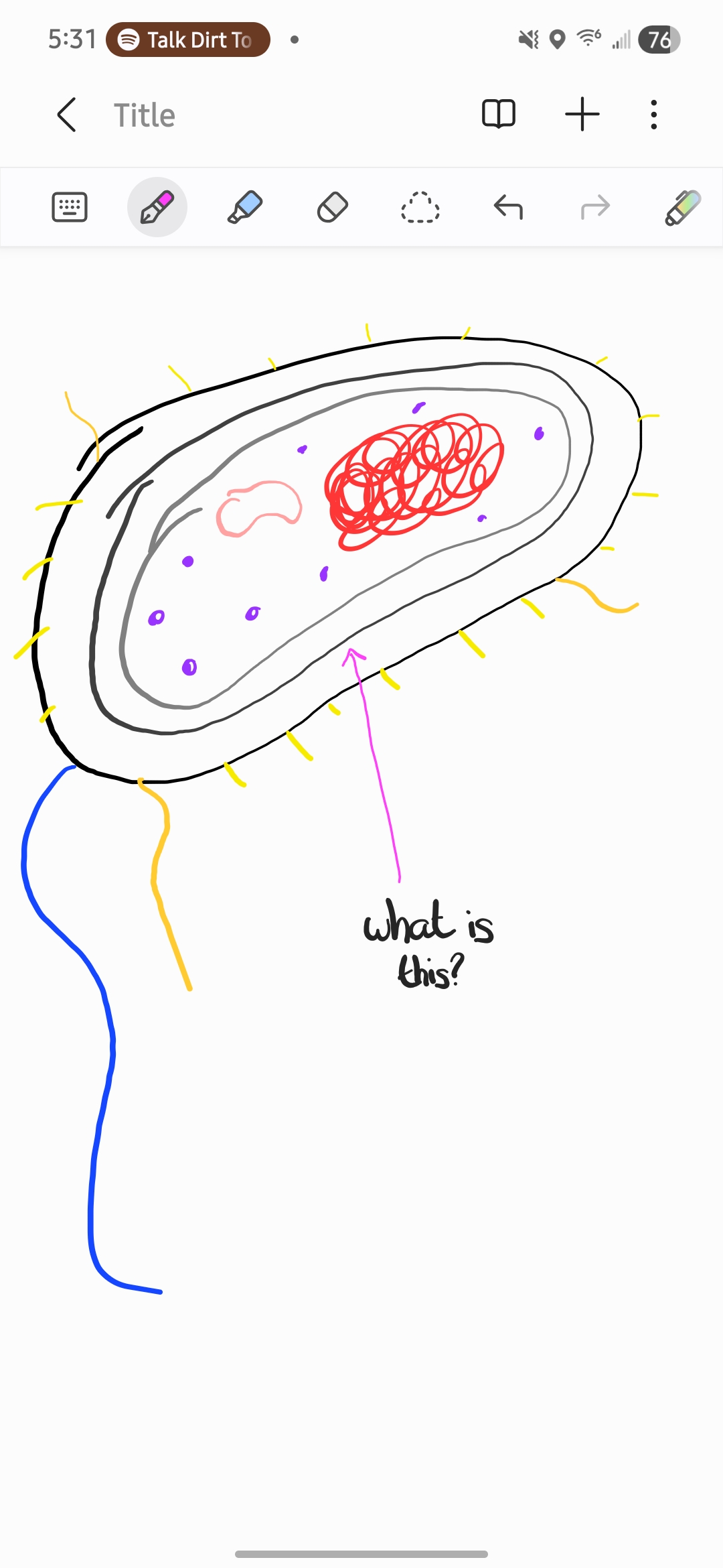 <p>What is this?</p>