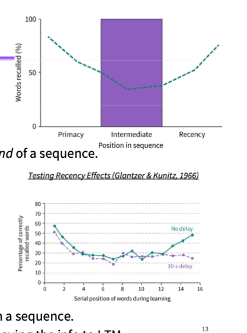 <p><strong>Serial Position Effect:</strong> When given a long string of numbers to repeat, recall performance is U-shaped.</p><ul><li><p><strong>Primacy Effect:</strong> The tendency to remember information presented earlier in a sequence.</p></li><li><p><strong>Recency Effect:</strong> The tendency to remember information presented at the end of a sequence. Still likely in short-term memory. With a delay of 30 seconds after presentation, the recency effect goes away.</p></li></ul><p></p>