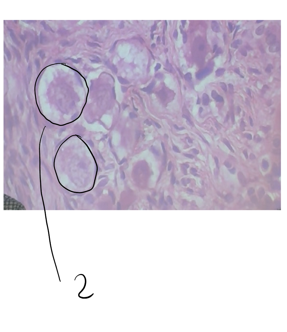 <p>2</p>