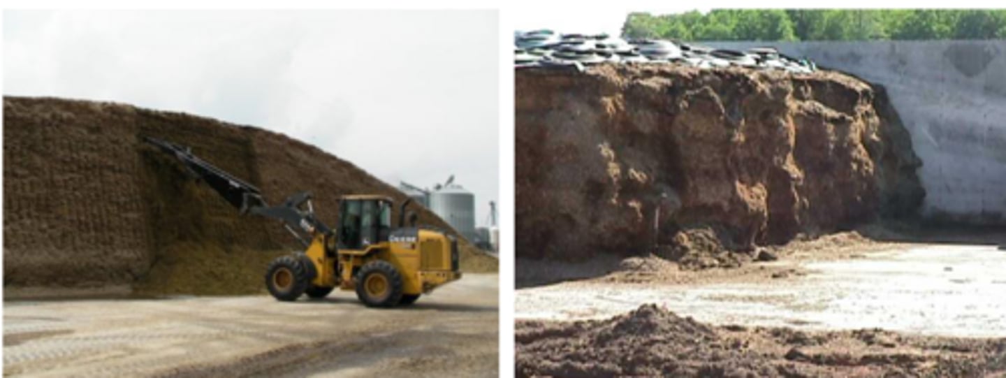 <p>With silage face, which one is better? Why?</p>