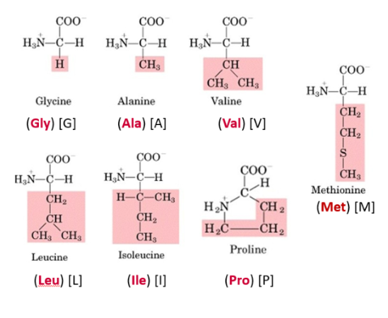 <ul><li><p>Consists of H and C</p></li><li><p>Hydrophobic, non-polar (uncharged)</p></li><li><p>Chemically non reactive</p><ul><li><p>R groups only contain inert methylene (CH<sub>2</sub>) or methyl (CH<sub>3</sub>) groups</p></li></ul></li><li><p>Longer hydrocarbon chain = Amino acid is more hydrophobic</p></li></ul><p>Solely aliphatic: <strong>Glycine, Alanine, Valine, Leucine, Isoleucine</strong></p><p>Aliphatic + others:<strong> Proline</strong><br></p>