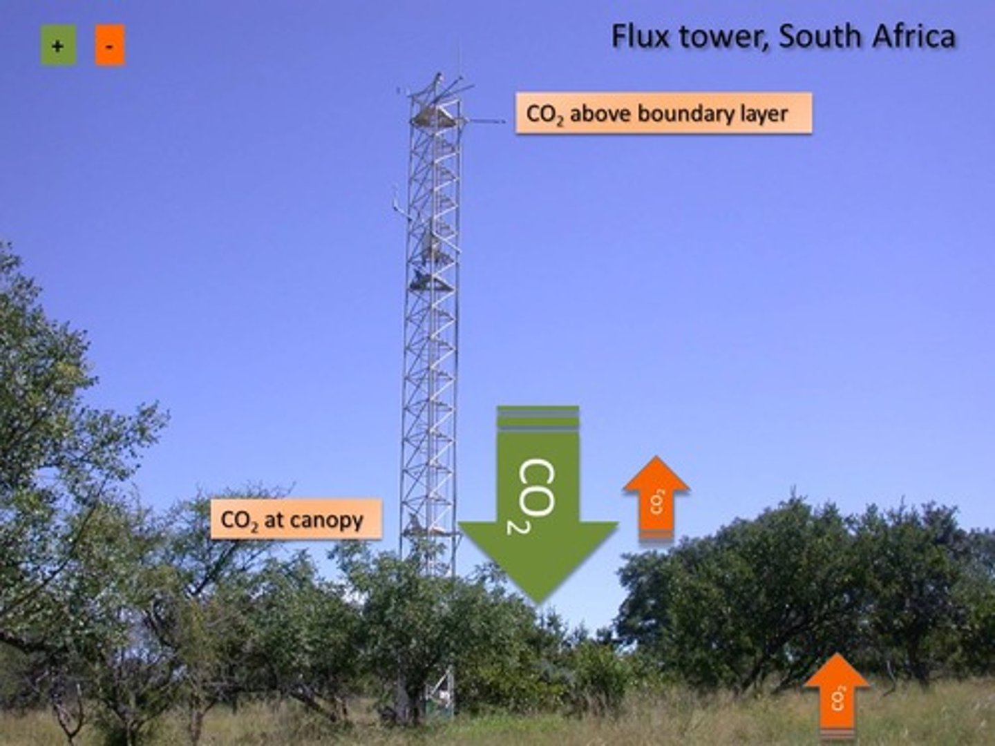 <p>to get NEE (net CO2 flux btw atmo. and ecosystem), Eddy Covariance method used by measuring [CO2] + wind direction + wind speed at high frequency, then GPP and ecosystem respiration can be partitioned by day and night data (no GPP factored in at night since there's no sun for photosynthesis!)</p>
