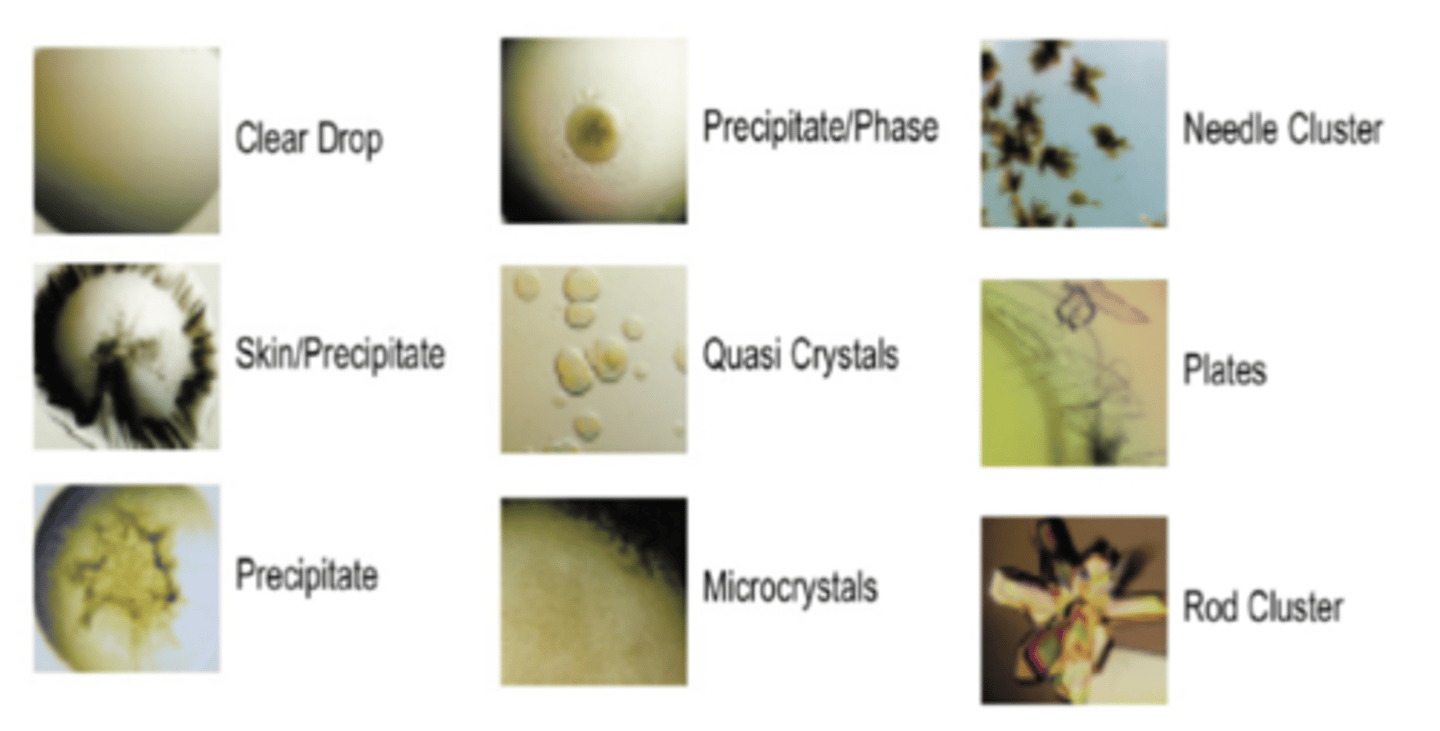 <p>-Plates=good crystals</p><p>-Precipitate/skin and needle clusters=not good</p>