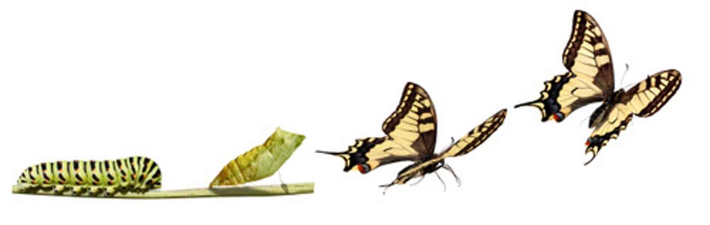<p>to change</p>