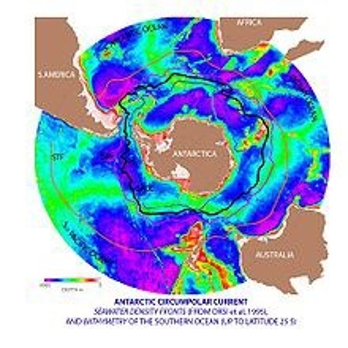 <p>Antarctic Circumpolar Current</p>