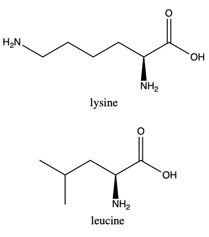 <p>Leucine and lysine</p>