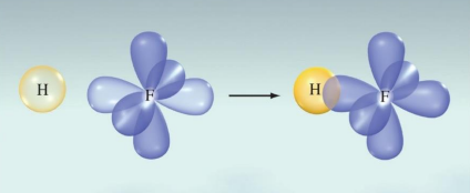 <p>This overlap creates a polar covalent bond, allowing for the sharing of electrons between hydrogen and fluorine. </p>