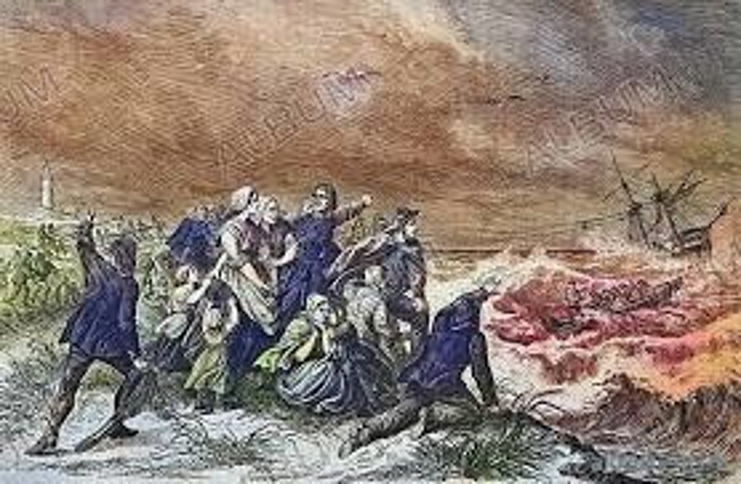 <p>? (rescue castaways)</p>