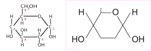 <p>● <strong>Left </strong>- full structure, carbon atoms labelled</p><p> </p><p>● <strong>Right </strong>- simplified structure as in the specification to be memorised for exam</p>