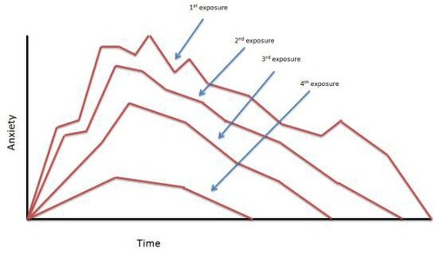 <p>Reduce conditioned responses to drugs</p>