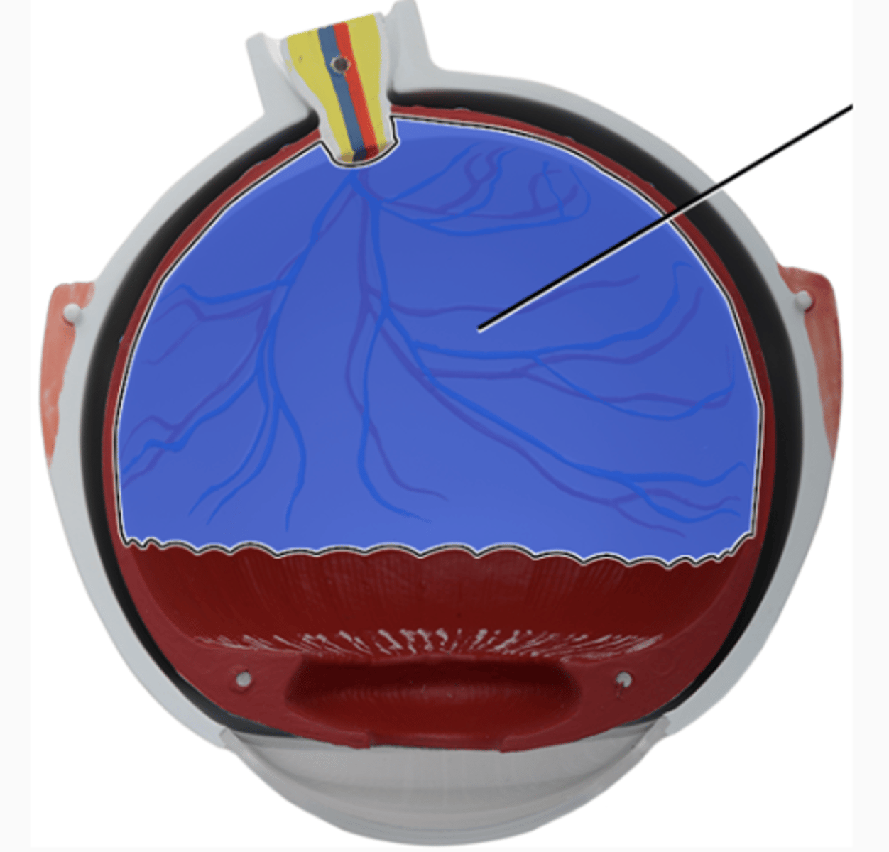 <p>Deep Posterior</p>