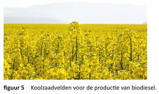 Diesel die geproduceerd wordt vanuit biomassa.