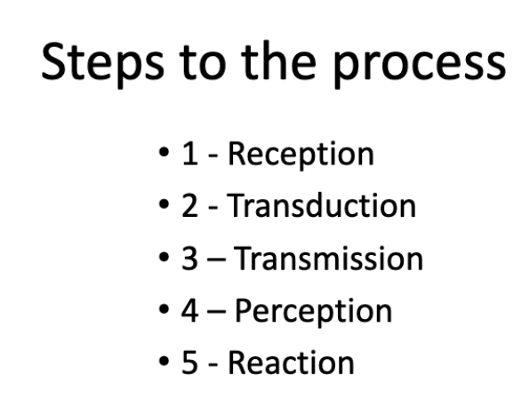 <p>1 &amp; 2: Mechanical </p>