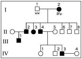 The following question refers to the pedigree chart in the figure below for a family, some of whose members exhibit the dominant trait, *W*. Affected individuals are indicated by a dark square or circle. \n 

What is the likelihood that the progeny of IV-3 and IV-4 will have the trait?


1. 100%
2. 50%
3. 75%
4. 0%
5. 25%