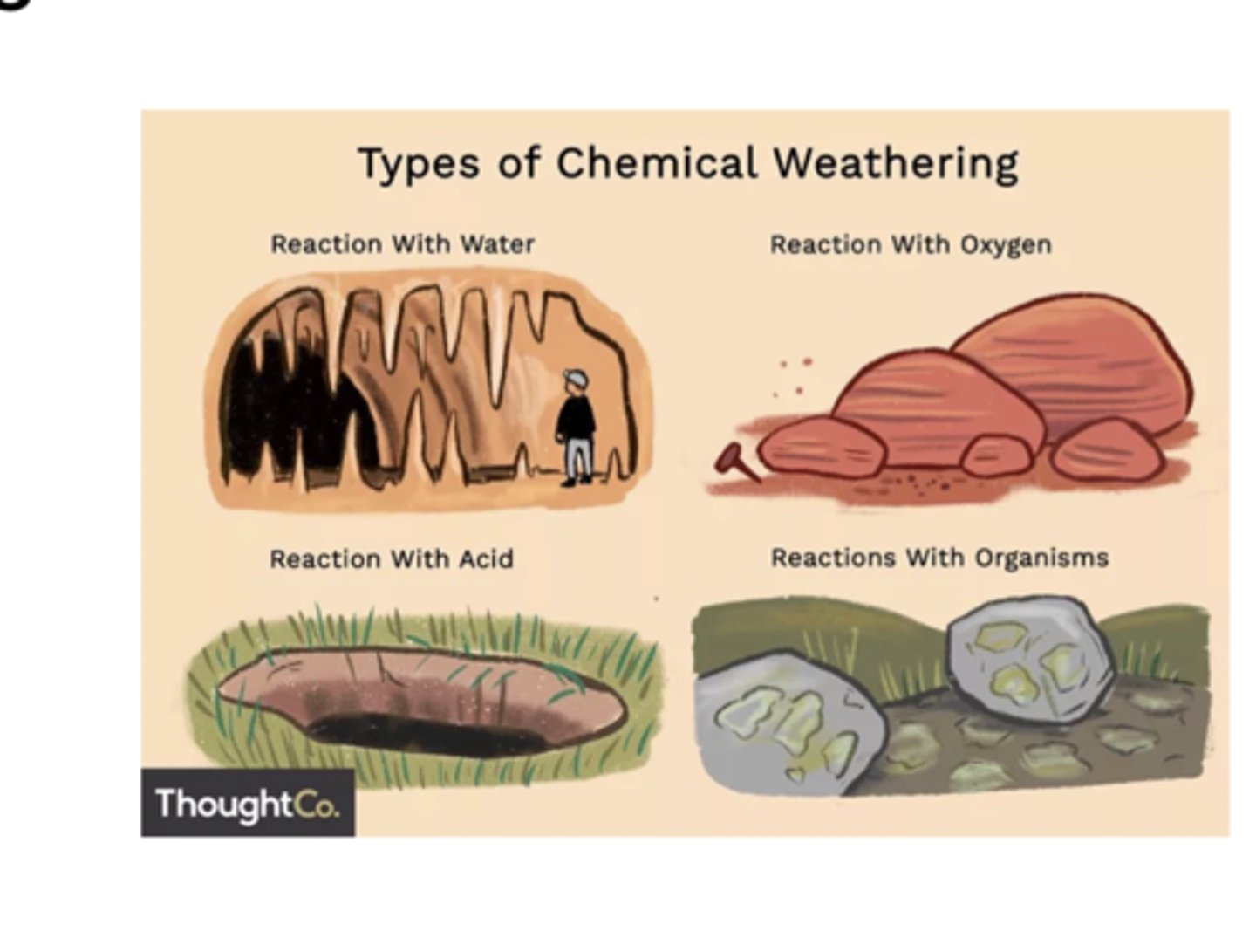 <p>The process that breaks down rock through chemical changes</p><p>This process is driven by several agents, including water, organic acids from plants and soil, acid rain, and oxygen. These chemicals react with minerals in the rock, weakening them, breaking them apart, or dissolving them into ions that can be carried away by water. Chemical weathering is a major component of the inorganic carbon cycle because reactions between CO₂, water, and rock help remove carbon dioxide from the atmosphere over long timescales.</p>