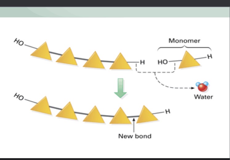 <p>What type of reaction is this?</p>