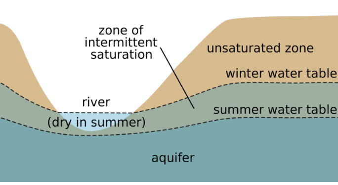 <p>What is the water table and why is it important?</p>