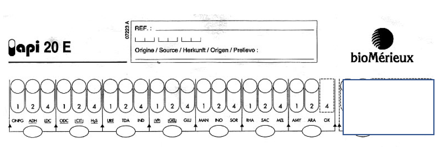 <p>how to read API strip</p>