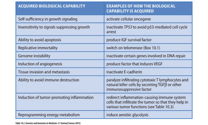 <p>Characteristics that define cancer progression, including uncontrolled cell growth, evasion of apoptosis, and sustained angiogenesis. </p>