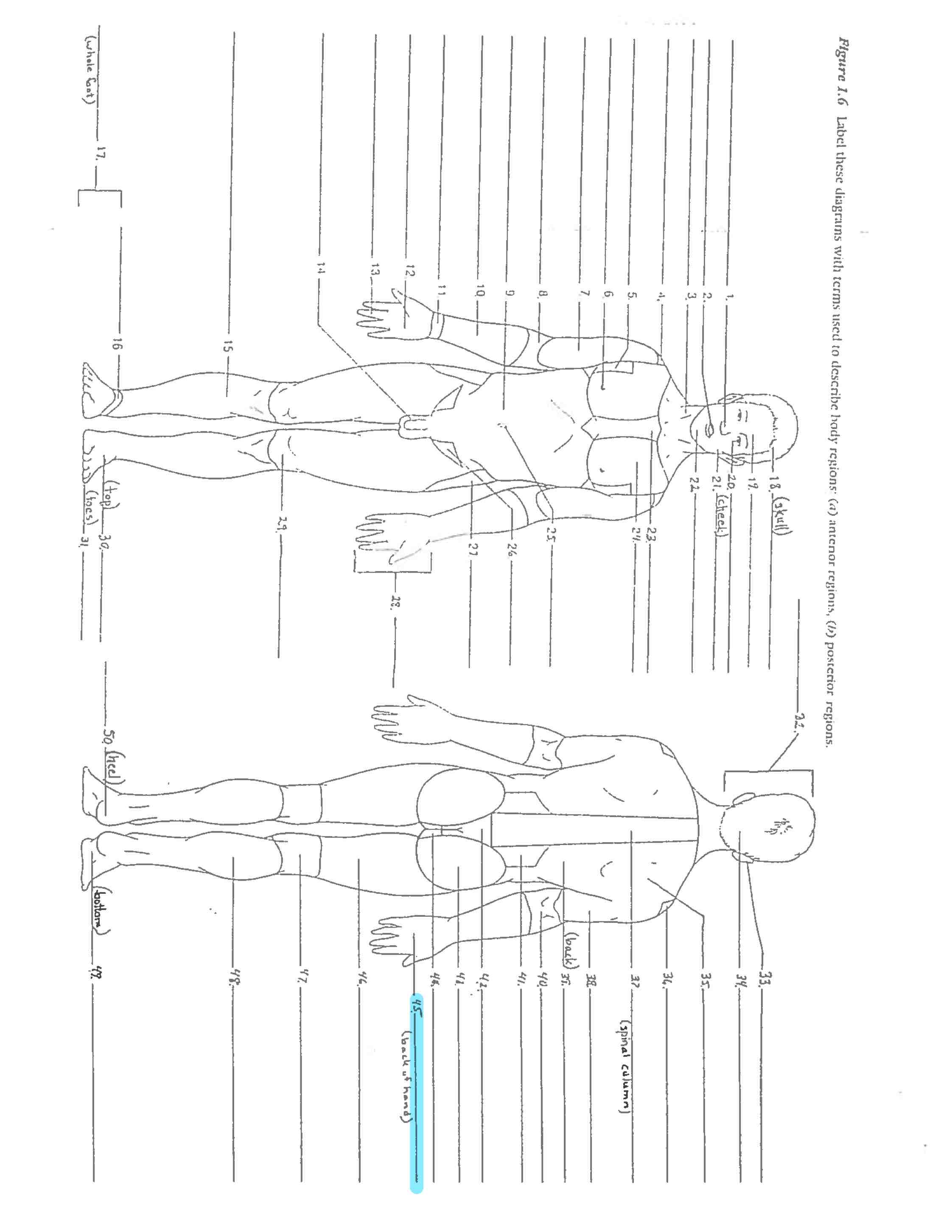<p>Line 45 </p>