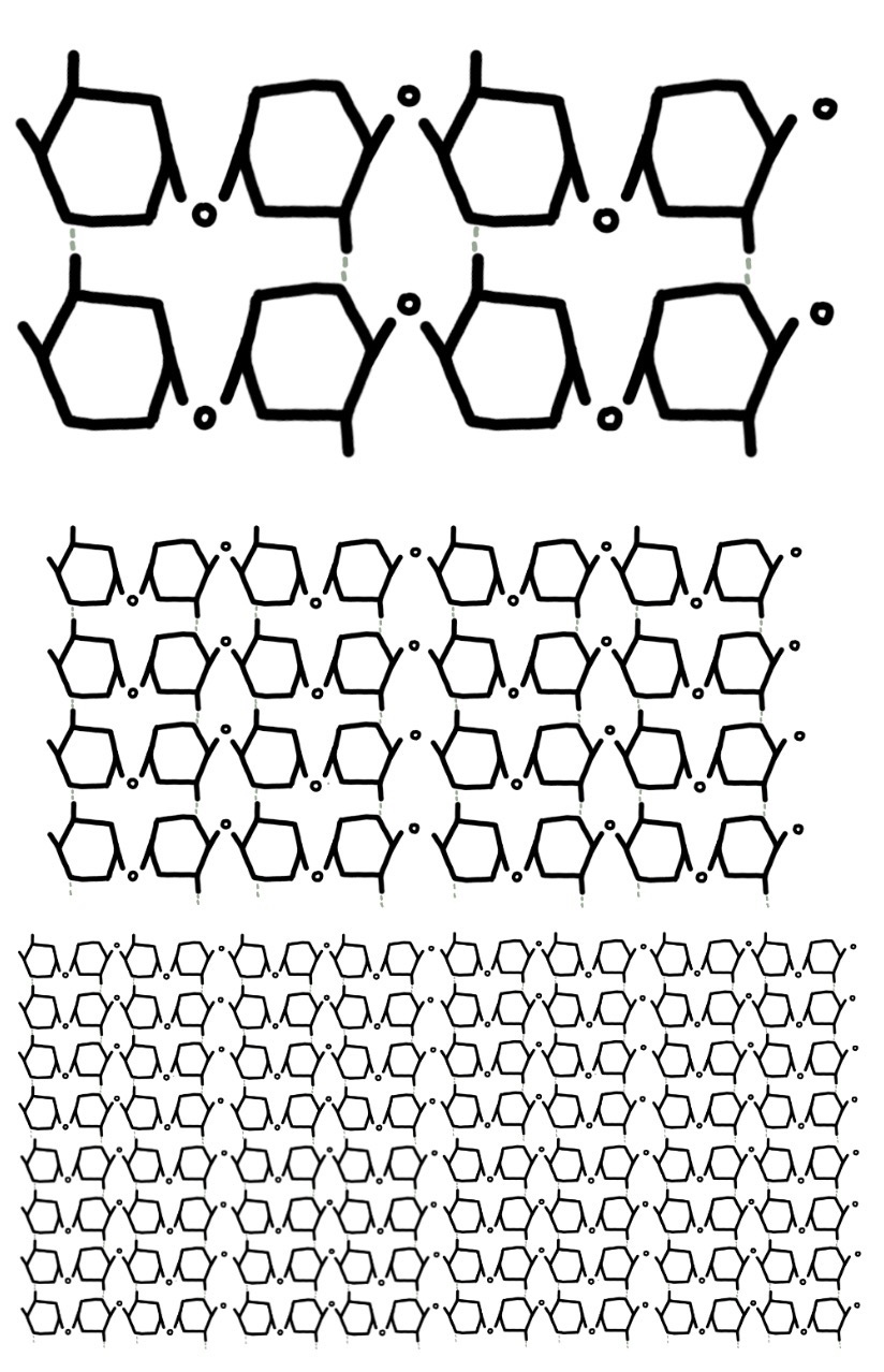 <p>each glucose molecule flips 180 degrees</p><ol><li><p>beta glucose chain, long and unbranched</p></li><li><p>parallel chains, cross linking hydrogen bonds</p></li><li><p>microfibrils, lots of parallel chains grouped together</p></li><li><p>forms fibres, microfibrils groups together</p></li><li><p>lattice structure in cell wall</p></li></ol>