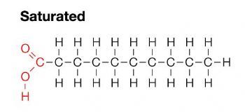 <ul><li><p>the unhealthy fat</p></li><li><p>single bonds between carbon atoms - makes the chain straight</p></li><li><p>solid at room temp (because the chains are able to be packed together)</p></li><li><p>comes mostly from animals</p></li></ul>