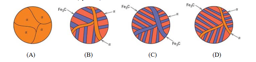 <p>5.17. Schematic room-temperature microstructures for four iron-carbon alloys are as follows. Rank these microstructures (by letter) from the hardest to the softest. (a) B > D > C > A (b) D > B > C > A (c) C > B > D > A (d) C > D > B > A</p>