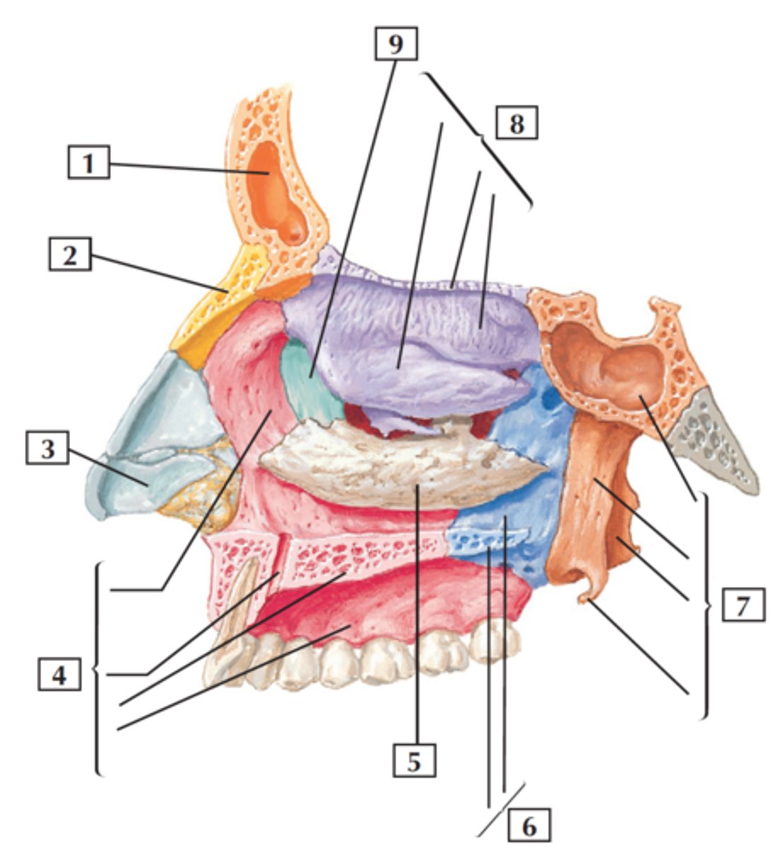 <p>2</p>