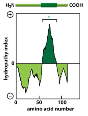 <p>How do you create a hydropathy plot?</p>