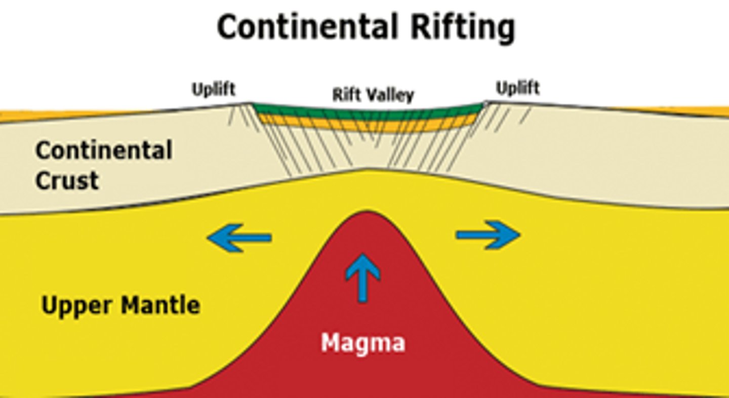 <p>Boundaries form between spreading plates where the crust is forced apart in mid-ocean ridges. On land it creates ocean basins</p>