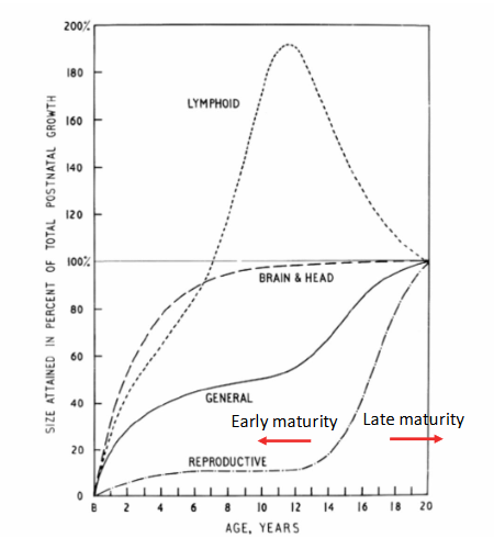 <ul><li><p>as % of total gain between birth and 20 years </p></li><li><p>differential tissue growth </p></li><li><p>general growth curve (sigmoidal shape) </p></li><li><p>body mass</p></li><li><p>skeletal tissue </p></li><li><p>cardiorespiratory system </p></li></ul><p></p>