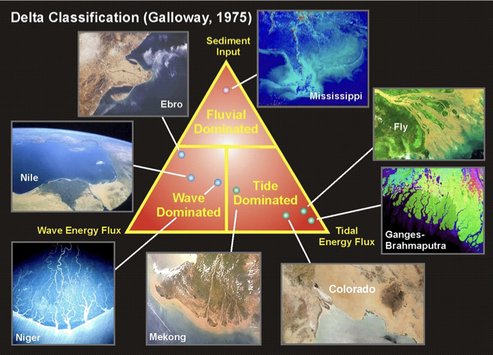 <p>fluvial dominated, tide dominated, and wave dominated</p>